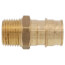 3/4" Expansion PEX x 1/2" NPT Male Adapter (Lead Free Brass)