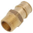 3/4" Expansion PEX x 1/2" NPT Male Adapter (Lead Free Brass)