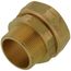 1-1/2" Straight Fitting x 1-1/2" Male NPT