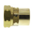 1/2" Straight Fitting x 1/2" Female NPT