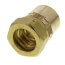 1/2" Straight Fitting x 1/2" Female NPT