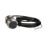 Inductive Proximity Sensor, XSAV (Sn10mm, 6-150C/MN , 24-240VDC, Cable 2M, M30)