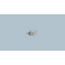 Rinza Robe Hook, Y1103BN (Spot Resist Brushed Nickel)