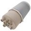 Standard Steam Cylinder, Y3482