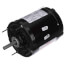 48YZ Frame TEAO Pedestal Fan Motor (115V, 1725 RPM, 1/4 HP)
