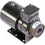 1750 RPM Motor (1/20 HP), 024-26507-000