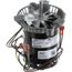 Motor, Draft, 1/6, 3350, Clockwise, 208/230-3-60, S1-02441229000