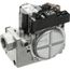 Valve, Gas, Natural Gas Wr 36J58-2, S1-02546610000