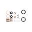 Valve Kit, K-30132