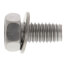 Mounting Screws