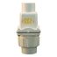 2" PVC Combination Check/Union Valve