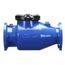 8" 310 Detector Check Valve, Flanged, Less Gate Valves, 1" NPT Taps