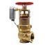 2-1/2" FNPT Pressure Tru Field Adjustable Pressure Reducing Hose Valve, Angled