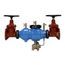 3" Reduced Pressure Principle Assembly w/ Flanged Ends & Gate Valve