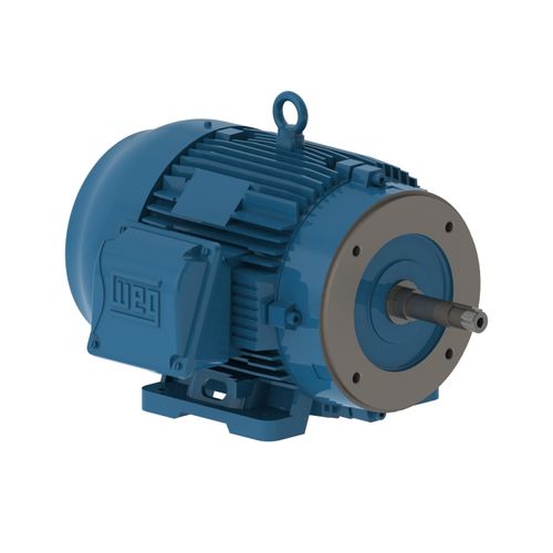 Main product image of 5 HP 208-230/460V W22 Cast Iron Close Coupled Pump Premium Efficiency Motor, 4P, 3 PH, 182/4JM, 60/50 Hz, IC411-TEFC, F1