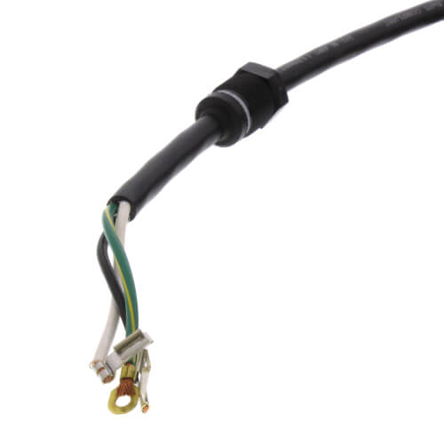 Main product image of 50' Cord (110V)