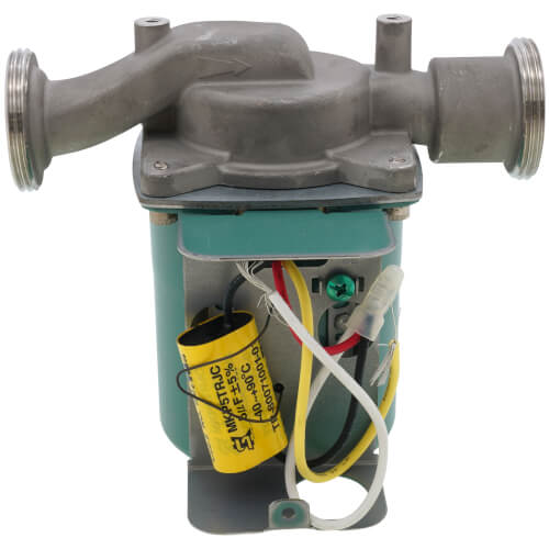 Main product image of 006-IFC Stainless Steel Circulator Pump w/ Integral Flow Check, 1/40 HP
