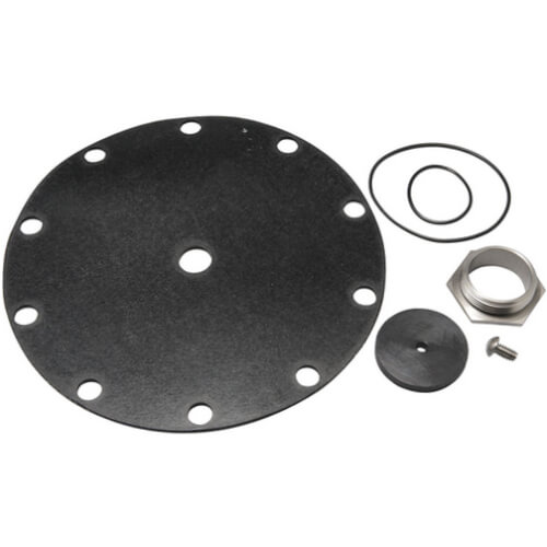 Repair Kit for 1-1/2" LF223N Valves 