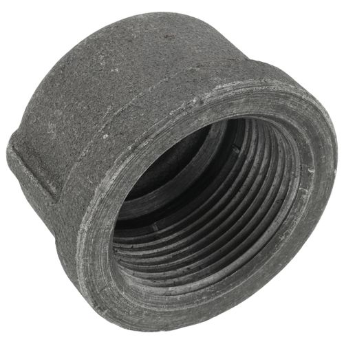 Main product image of 1-1/4" Black Cap, Class 150