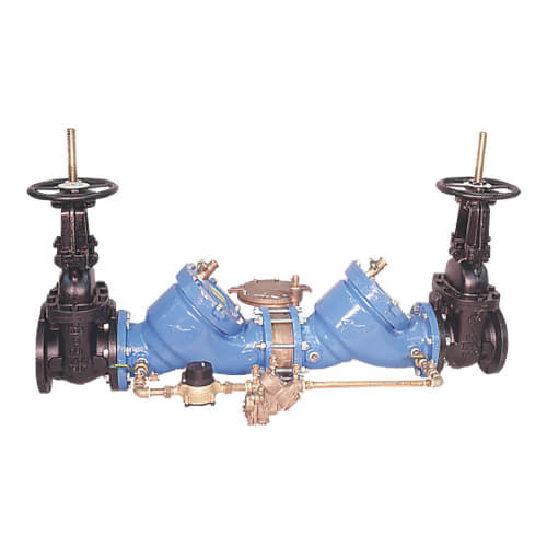 Main product image of 2-1/2" Reduced Pressure Detector Assembly (D 909 OSY-CFM)