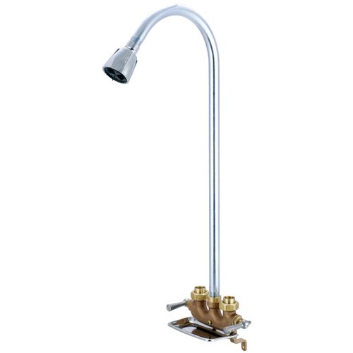 Main product image of 1/2" FNPT Rough Two Handle Utility Shower, 22-1/2" Riser