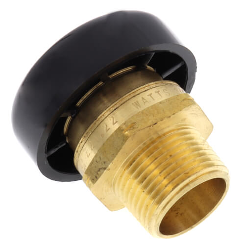 0556031 Watts 0556031 3/4" LFN36M1 Lead Free Water Service Vacuum