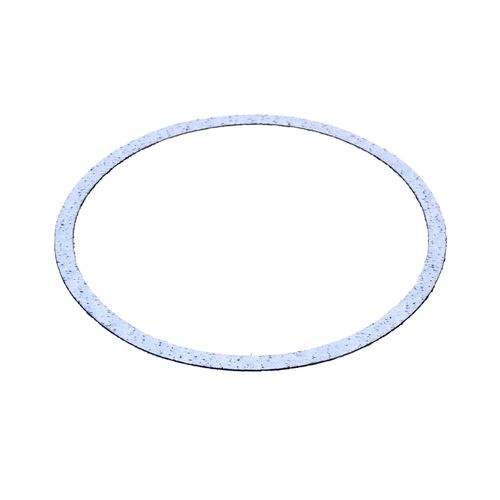 Main product image of Pump Gasket 5-1/4" OD, 800173F