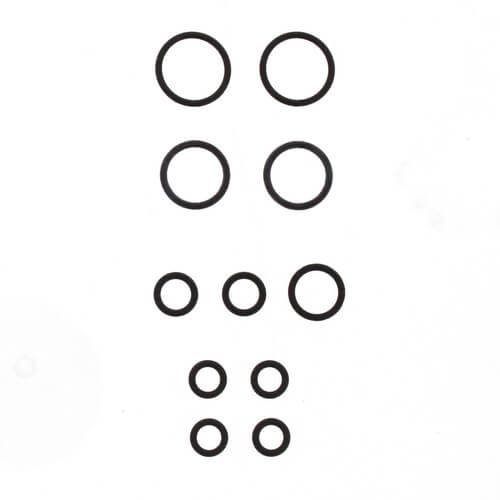 0862000 Watts 0862000 Repair Kit for Watts 1/2" Washing Machine