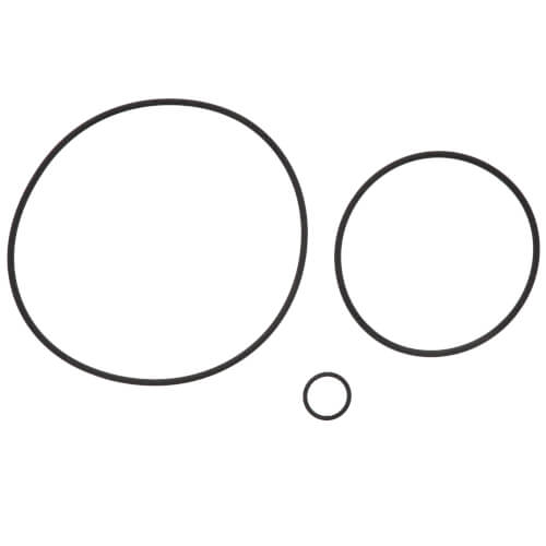 Main product image of 2" Second Check Rubber Repair Kit for 009M2