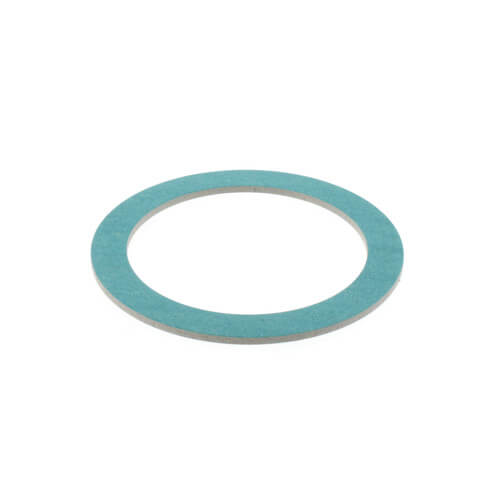 Main product image of Union Gasket for F76S 1" Valve Connection (Pack of 10)