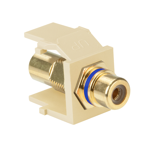Main product image of RCA Feedthrough Quickport, Connector, Gold-plated (Blue) Stripe (Ivory) Housing