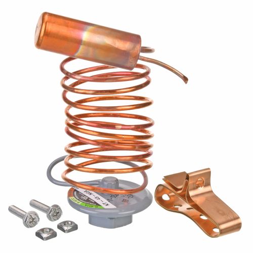 Main product image of Replacement Power Head - TXV (R-22), KT-43-NGA
