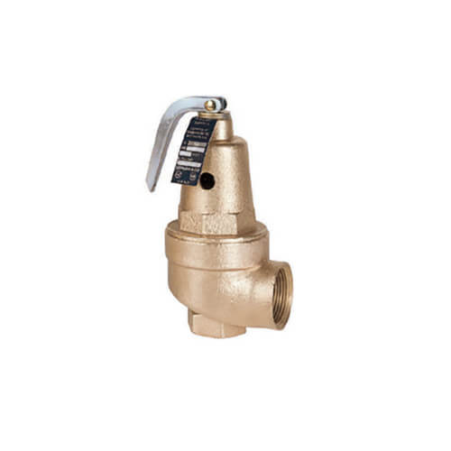 1061405 1061405 3/4" x 1" Hot Water High Capacity Pressure