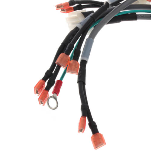 Main product image of Harness, Main, Cc 120-250, 100055085