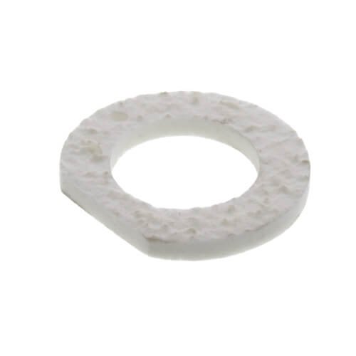 Main product image of Gasket for Observation Port, Gen2, 100062421