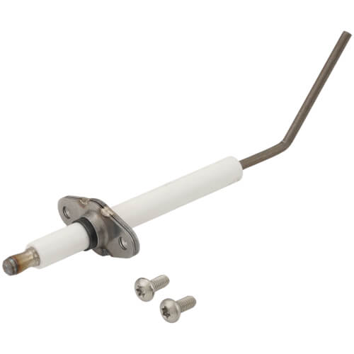 Main product image of Flame Sensor w/Gasket, 100073343