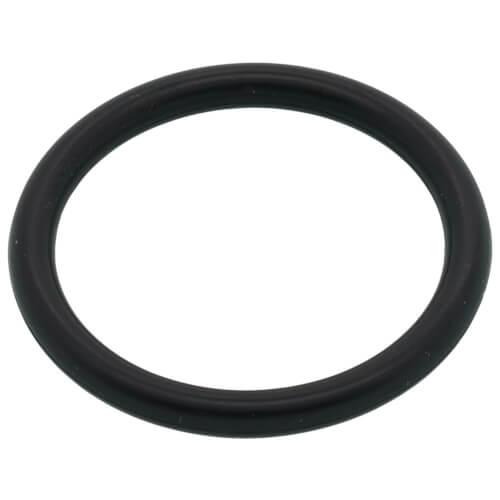 Main product image of Kit, O-ring, P20 Nbr, 100074242