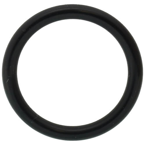 Main product image of Kit, O-ring, P18, Nbr, 100074533