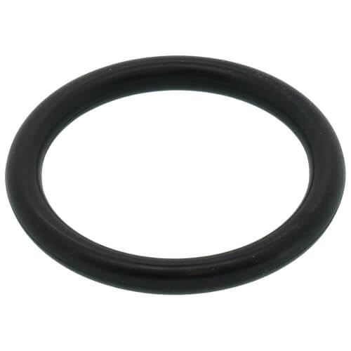 Main product image of Kit, O-ring, P18, Nbr, 100074533