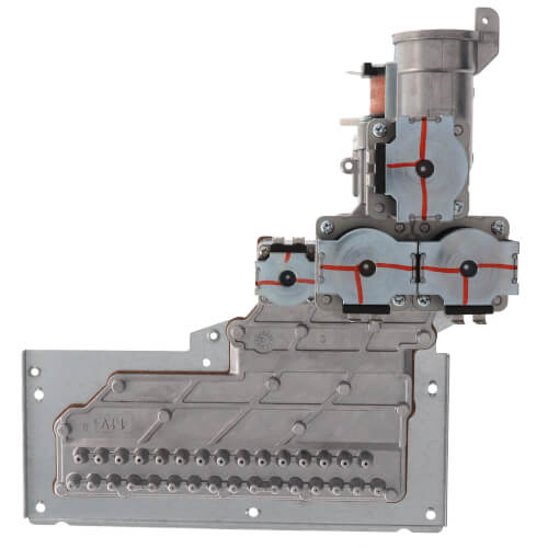 Manifold Assembly with Gas Valve Assembly (LP)
