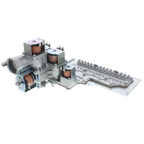 Manifold Assembly w/ Gas Valve Assembly (NG)