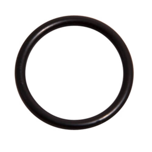 O-ring P16 (FKM)