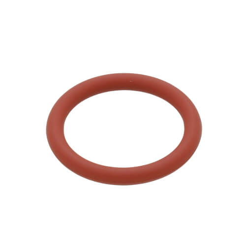O-ring P16 (FKM), 100076308
