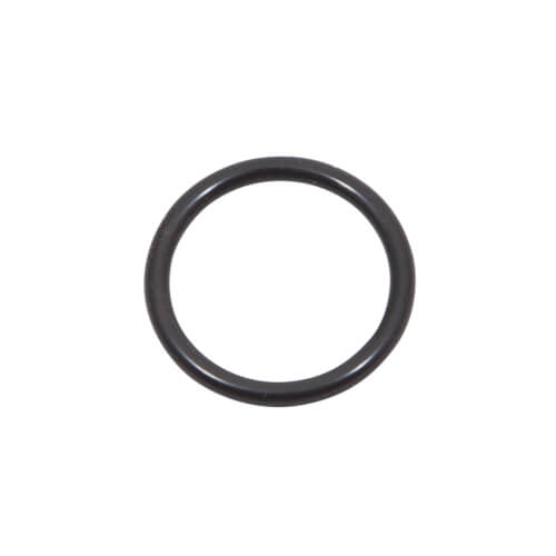 Main product image of Kit, O-ring, P20, Viton, 100076492