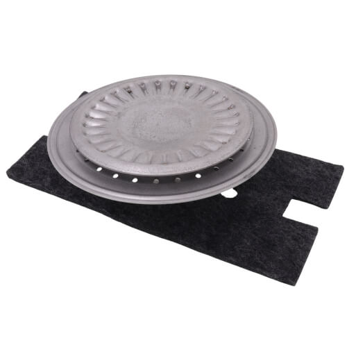 100109206 AO Smith 100109206 Burner Head w/ Door Gasket