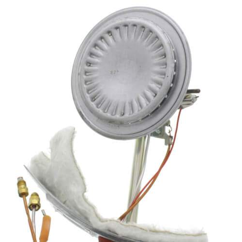 Main product image of Natural Gas Burner Assembly, 100109312