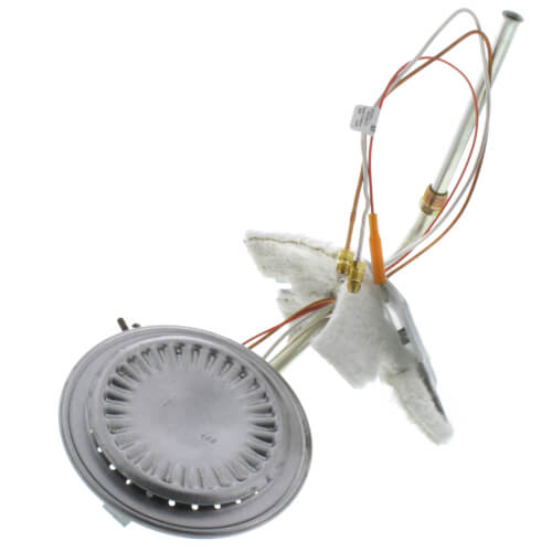 Main product image of Natural Gas Burner Assembly, 100109312