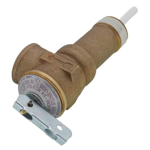 100109448 AO Smith 100109448 3/4", 150, Temperature & Pressure