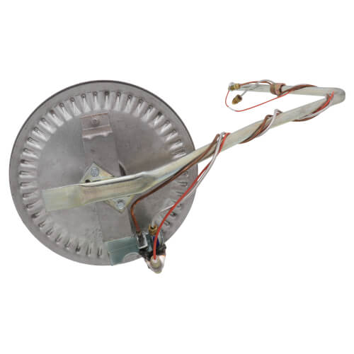 Main product image of Burner Assembly for BT80 Upgrade Series, 100111162