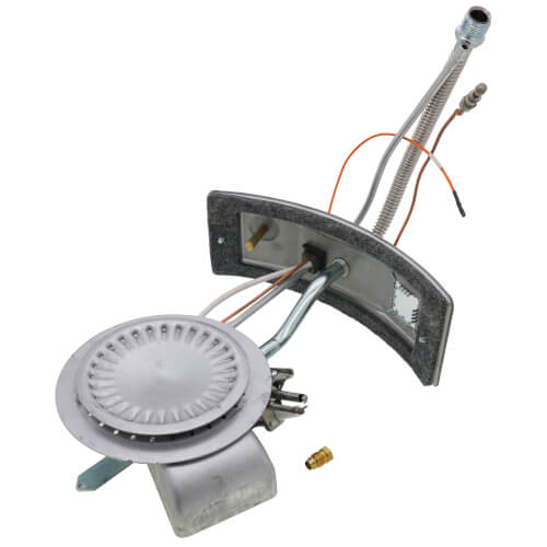 Main product image of Complete Burner/Door Assembly, Natural Gas (HSI Control Valves), 100111336